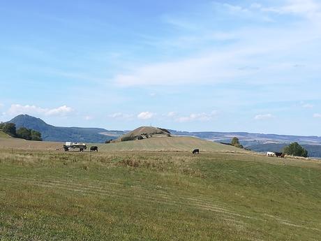 Am Weg von Hohenkrähen zum Mägdeberg