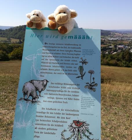 Wandern