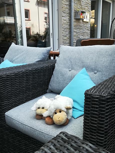 Lämmchen auf der Terrasse Lämmchen auf der Terrasse